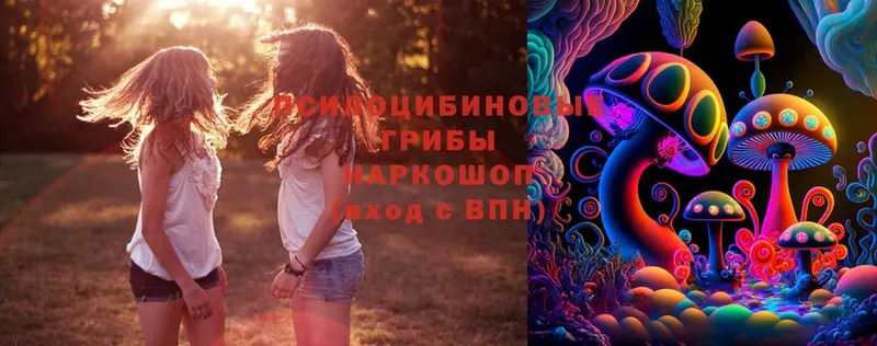 Галлюциногенные грибы Magic Shrooms Яровое