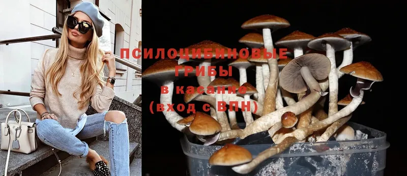 Галлюциногенные грибы MAGIC MUSHROOMS  Яровое 